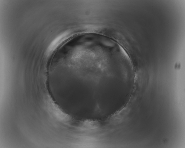 X0000112070101200909151058