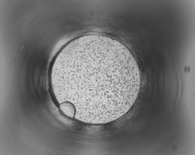 X0000112070102200909151058