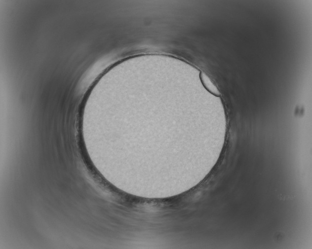 X0000112070103200909151058