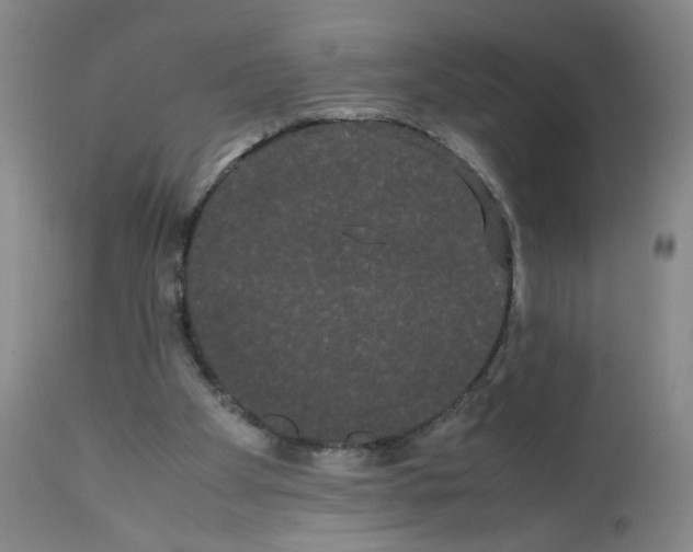 X0000112070105200909151058