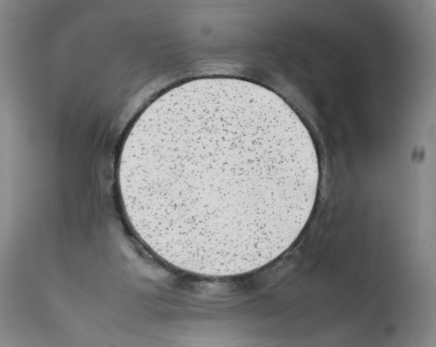 X0000112070107200909151058