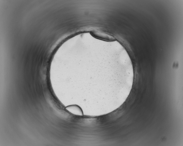 X0000112070108200909151058