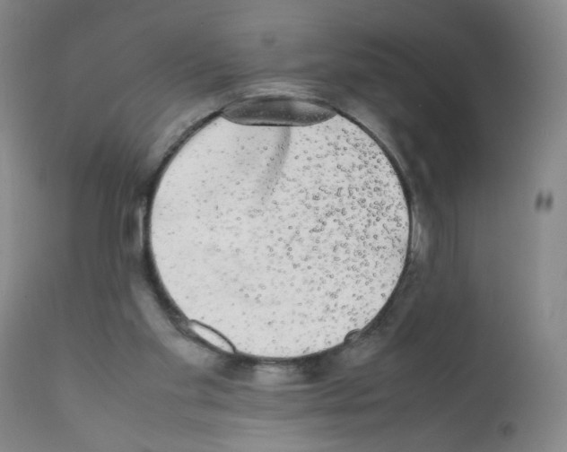X0000112070109200909151058