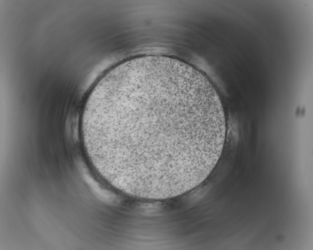 X0000112070110200909151058