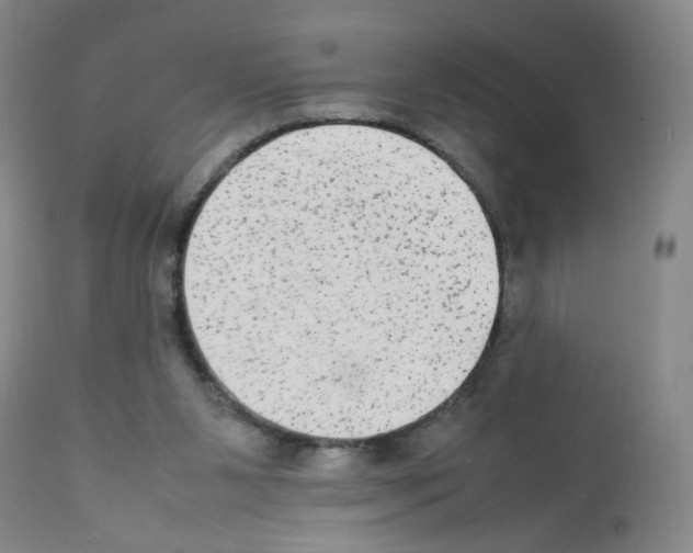 X0000112070111200909151058