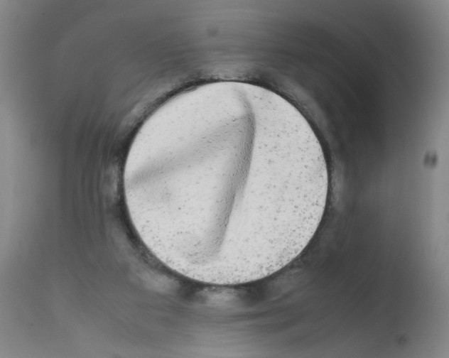 X0000112070113200909151058