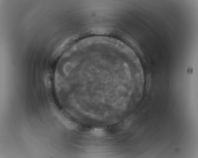 X0000112070114200909151058