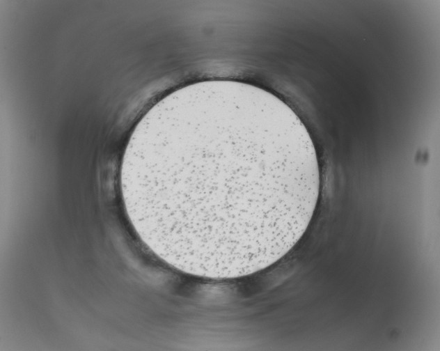 X0000112070115200909151058