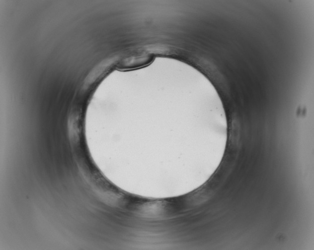 X0000112070116200909151058