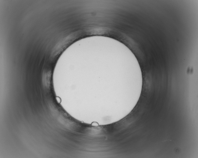 X0000112070118200909151058