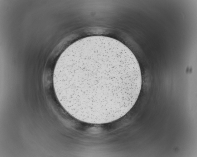 X0000112070119200909151058