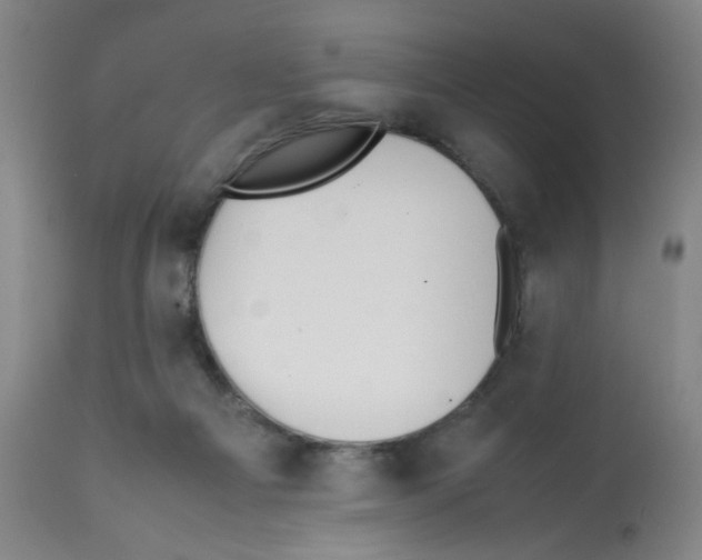X0000112070121200909151058