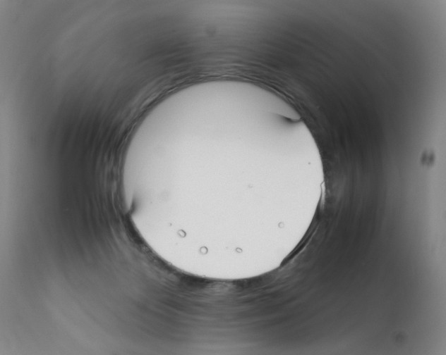 X0000112070124200909151057