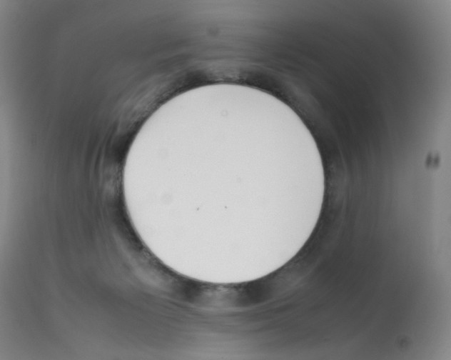 X0000112070125200909151057