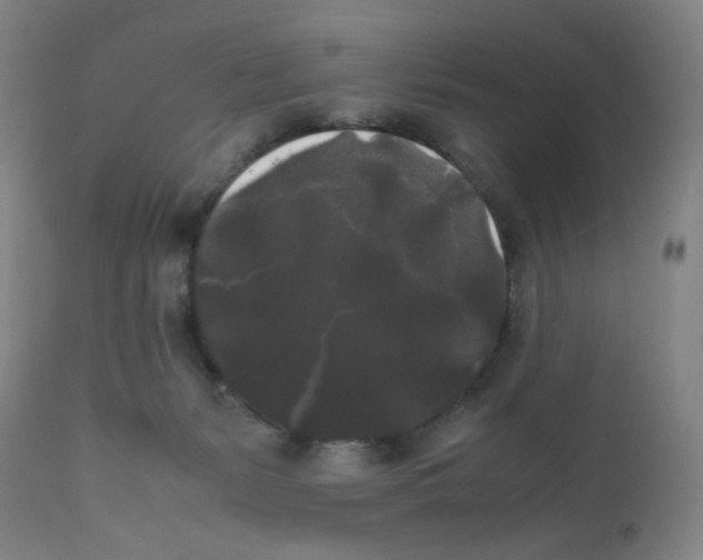 X0000112070127200909151057