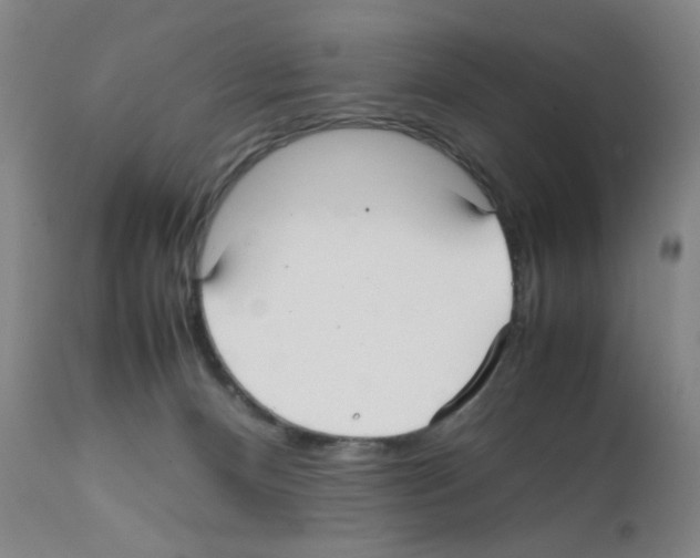 X0000112070128200909151057