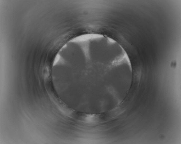 X0000112070130200909151057