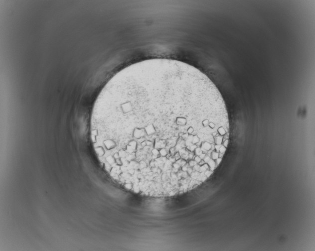 X0000112070131200909151057