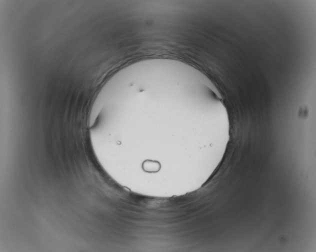 X0000112070132200909151057