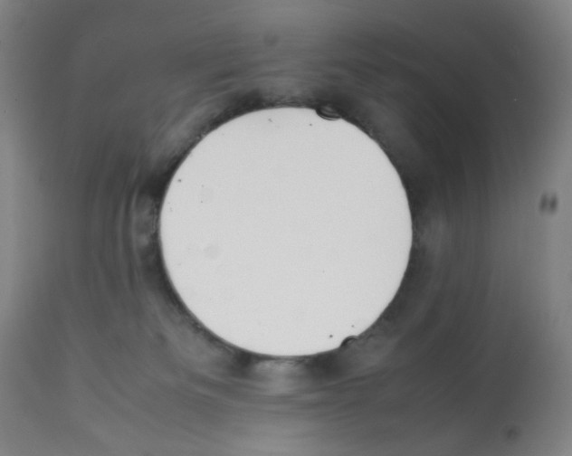 X0000112070133200909151057
