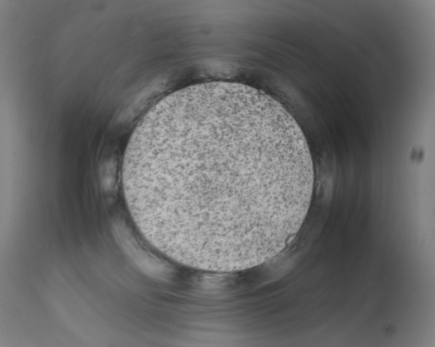 X0000112070134200909151057