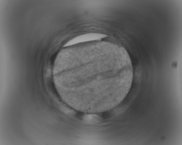 X0000112070137200909151057