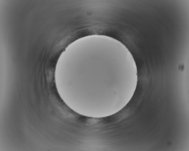 X0000112070139200909151057