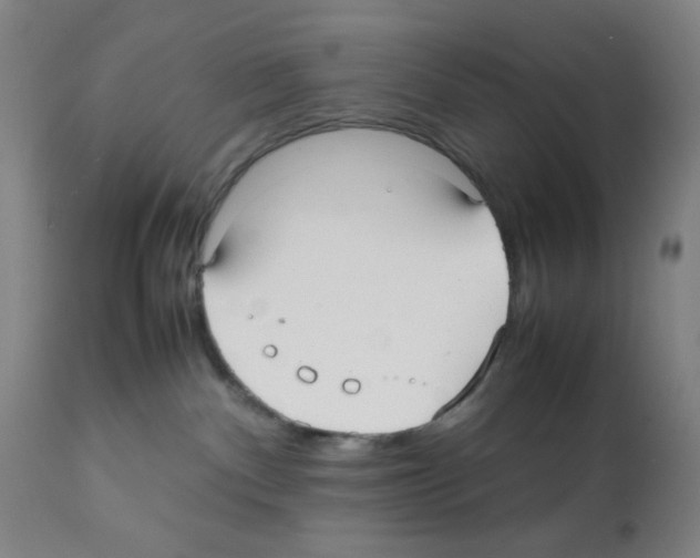 X0000112070140200909151057