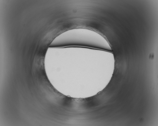 X0000112070141200909151057