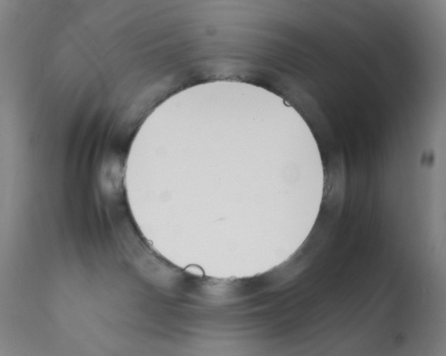 X0000112070142200909151057