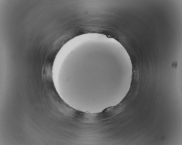 X0000112070143200909151057