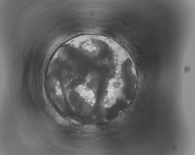 X0000112070145200909151056