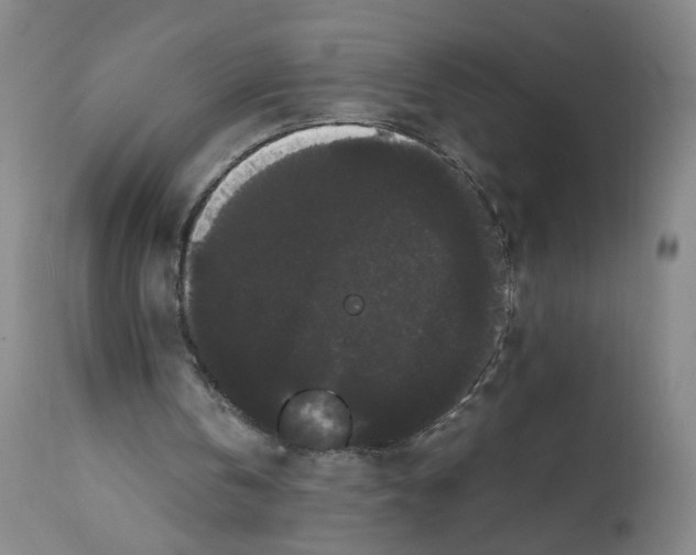 X0000112070146200909151056