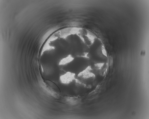 X0000112070147200909151056
