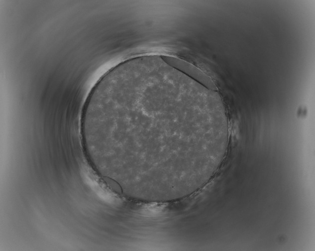 X0000112070148200909151056