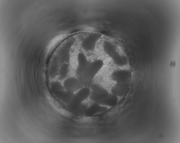 X0000112070149200909151056