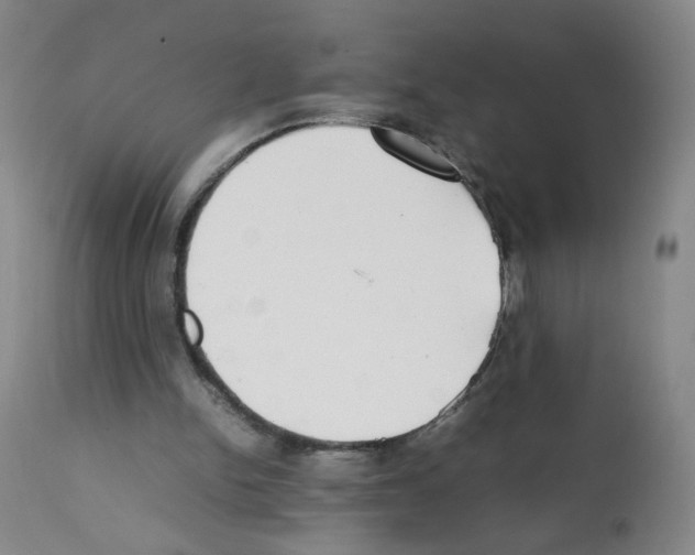 X0000112070150200909151056