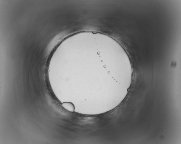 X0000112070151200909151056