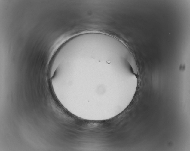 X0000112070152200909151056
