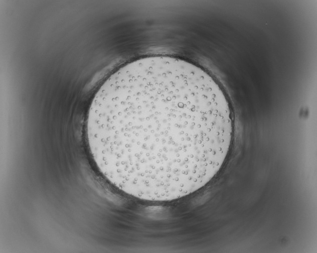 X0000112070153200909151056