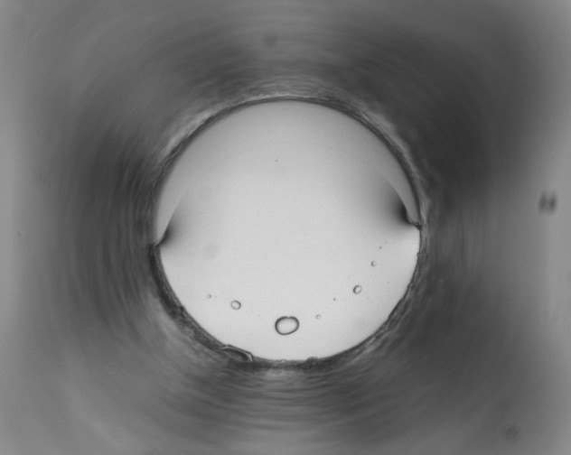 X0000112070154200909151056