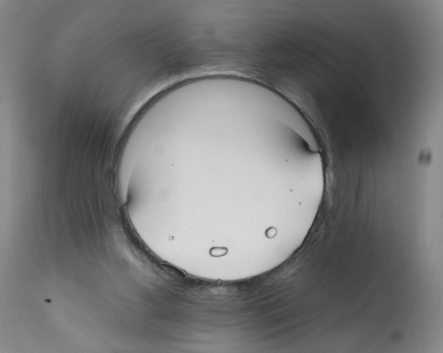X0000112070156200909151056
