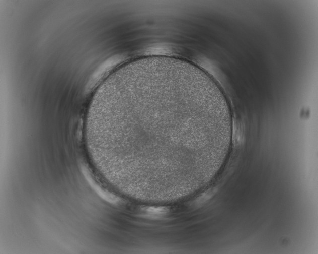 X0000112070157200909151056