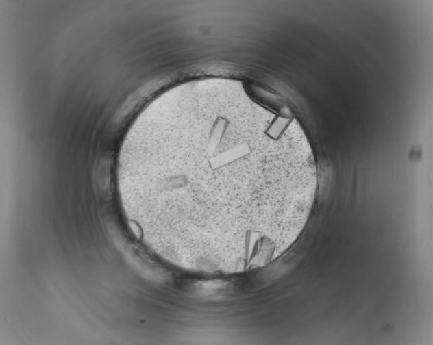 X0000112070158200909151056