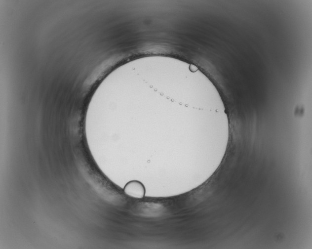 X0000112070159200909151056
