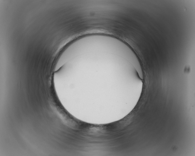 X0000112070160200909151056