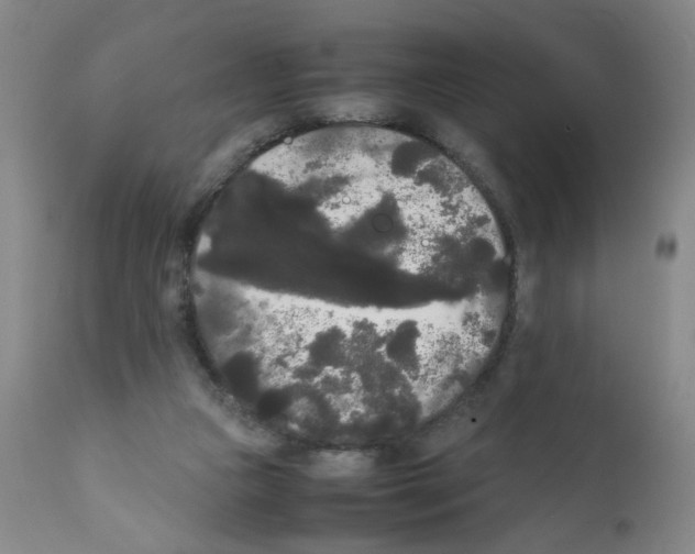 X0000112070161200909151056
