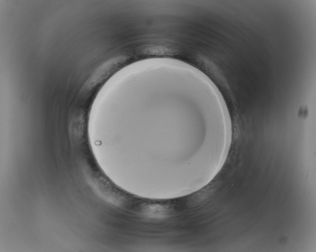 X0000112070163200909151057