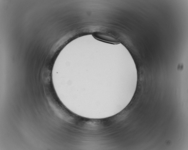 X0000112070164200909151057