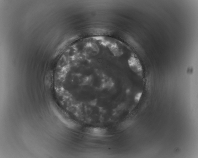 X0000112070165200909151057